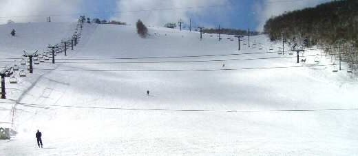 スキー・肉眼で確認できる雪の結晶
